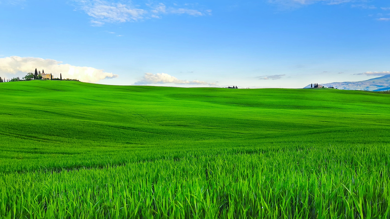 Collina Toscana